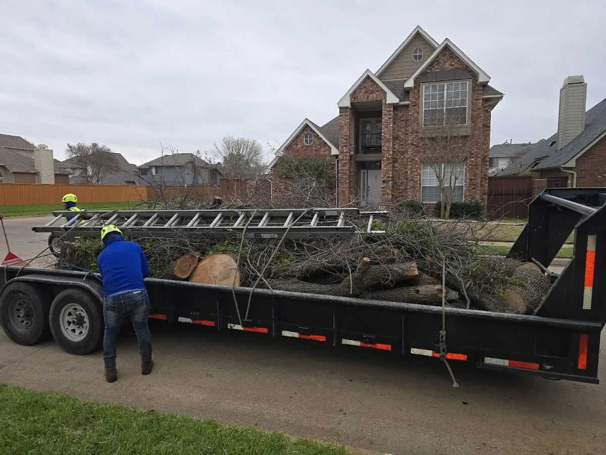 Expert Tree Pest Control with proper safety equipment in Blue Earth
